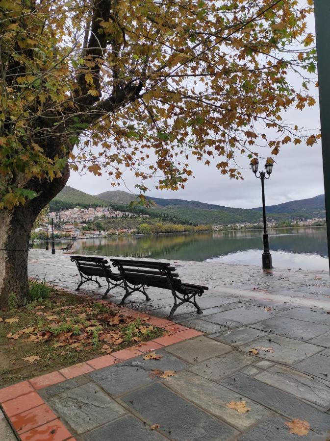 Voria Paralia 카스토리아 외부 사진